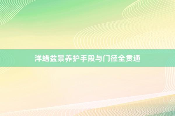 洋蜡盆景养护手段与门径全贯通