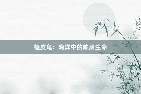 棱皮龟：海洋中的陈腐生命